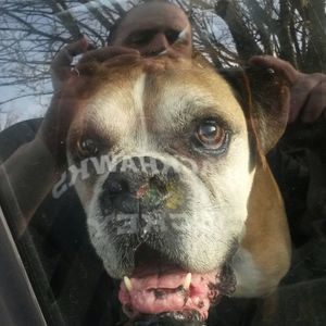 Meet your Posher, Lee